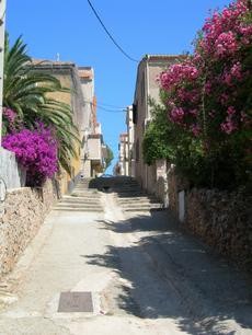 Photo Bed and breakfast Cargese Alexandra