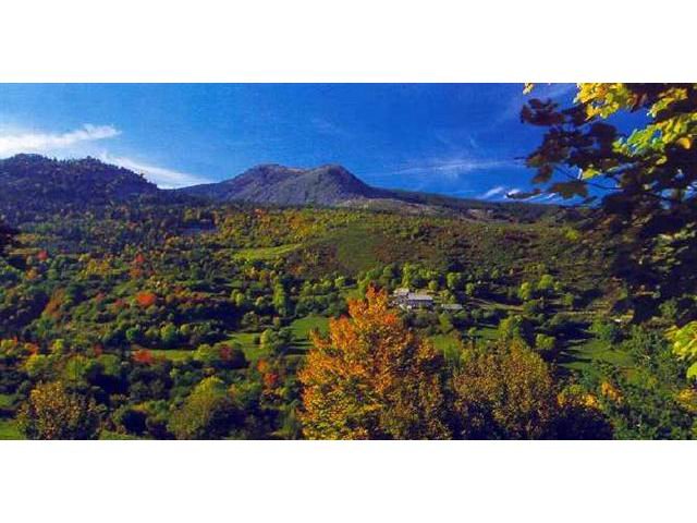 Photo Bed and breakfast Montregard Gîte plein sud