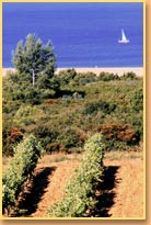 Photo Casas rurales Narbonne plage Chateau rouquette sur mer