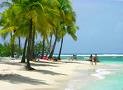 Photo Casas rurales Sainte -anne Coconut's