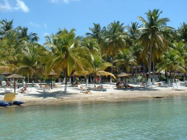 Photo Casas rurales Sainte -anne Location de studios  ste anne en g... 
