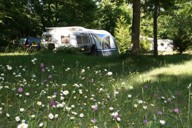 Au bois joli, camping de charme