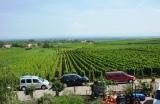 Chambre d'hote du vignoble