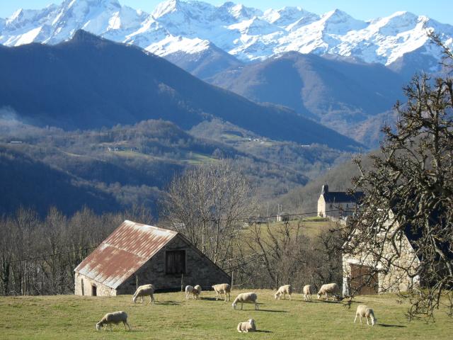 Photo Camping Seix Camping le haut salat***