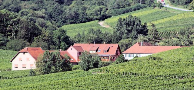 Photo Casas rurales Nothalten Au cep de vigne
