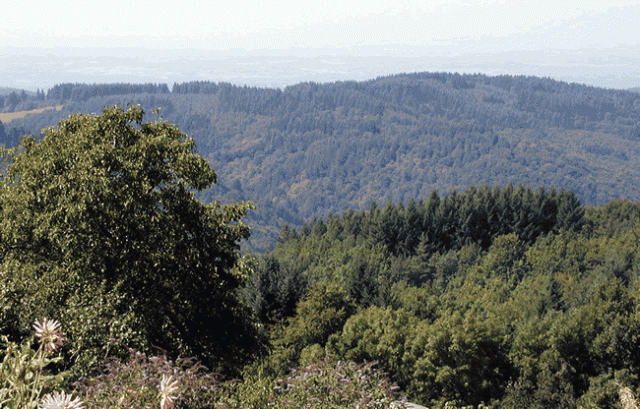 Photo Bed and breakfast St-victor/montvianeix Bienvenue chez michel girard