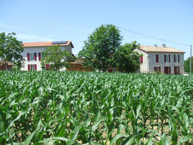 La vigneraie