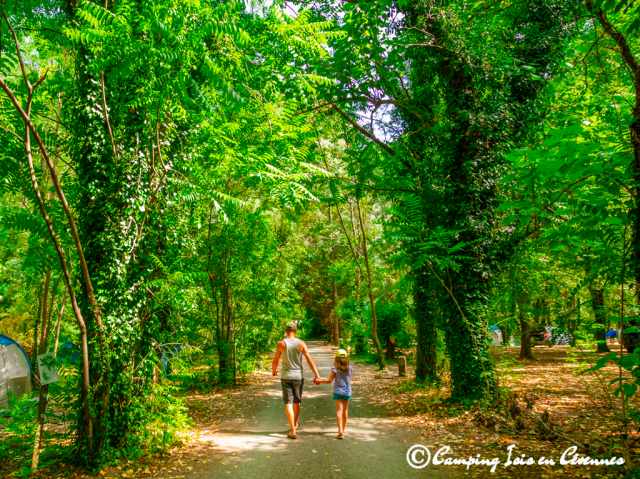 Camping isis en cvennes