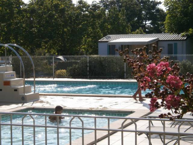 Photo Camping Biscarrosse Les petits écureuils
