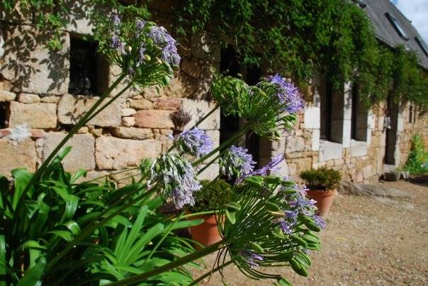 Photo Casas rurales Penvénan Maison tout confort 6/7 personnes,...
